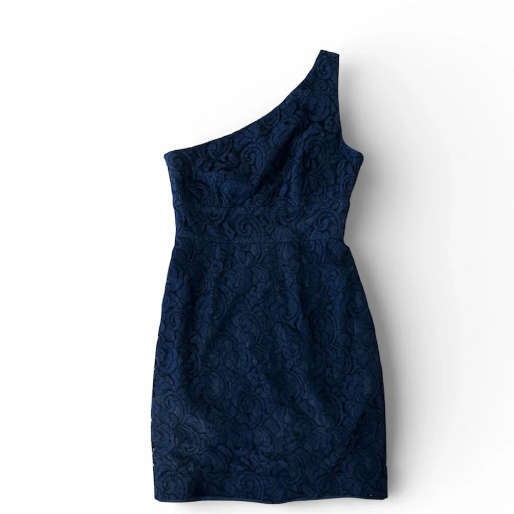 J.Crew Alexa navy dress in Leavers lace size 4